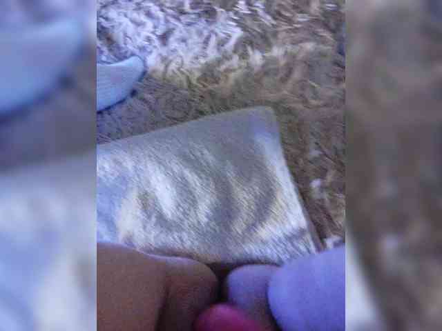Piff_Pawlady webcam