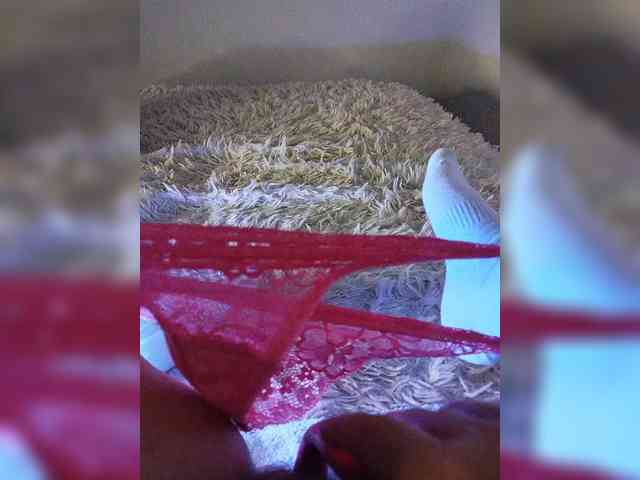 Piff_Pawlady webcam