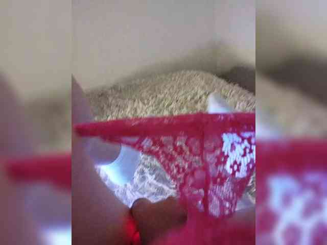 Piff_Pawlady webcam
