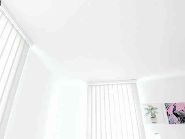 Carlin1511 webcam