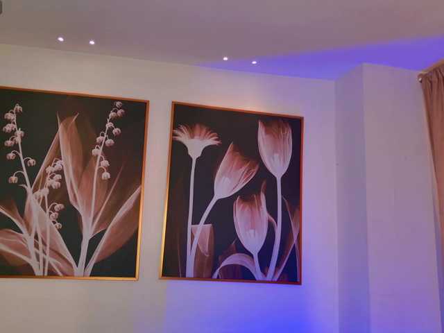 AmaliaCruss's BongaCams show and profile