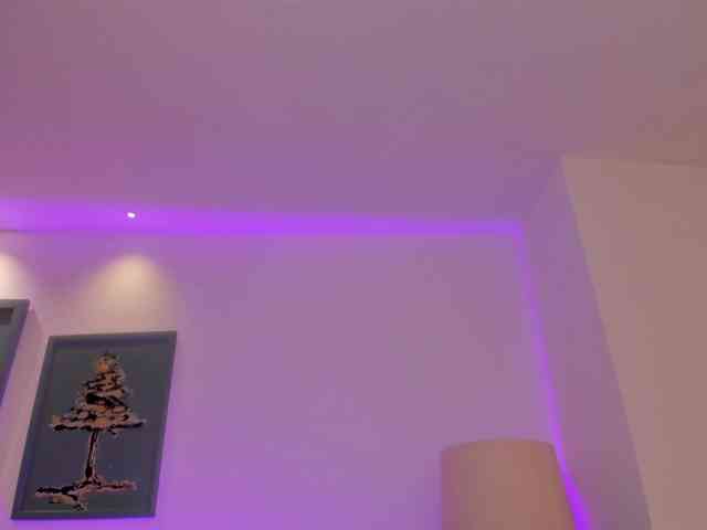 MaiaCollins1 webcam