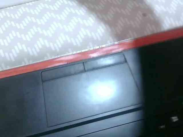 loreen webcam