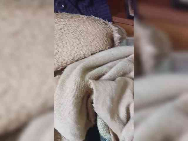 CherryVanilla69 webcam