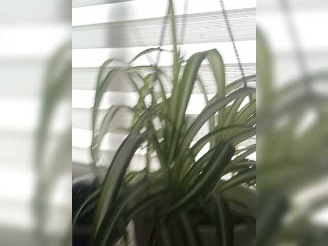 Lisa1989 live cam on BongaCams