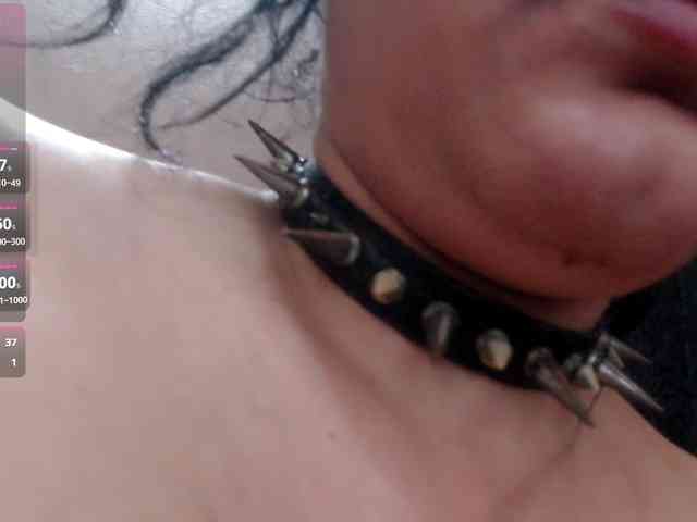 MonetBellla webcam