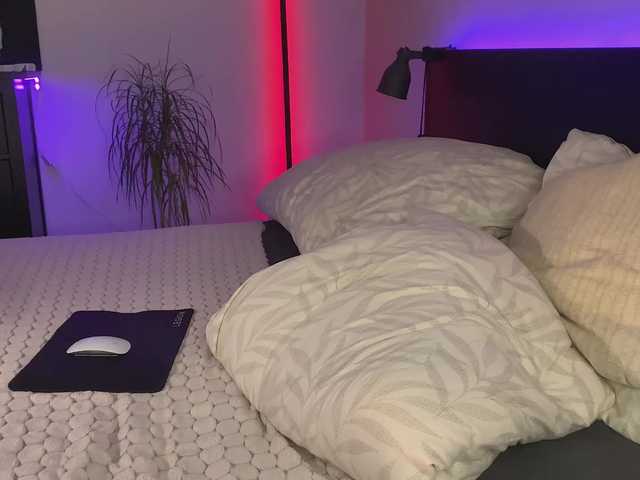 dalmatian-girl live cam on BongaCams