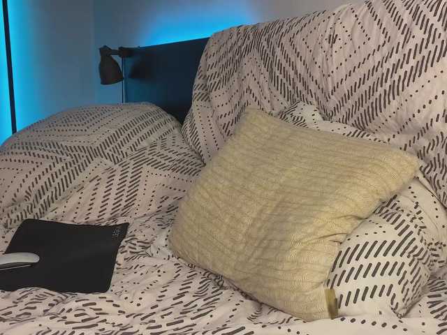 dalmatian-girl live cam on BongaCams
