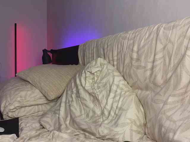 dalmatian-girl dalmatian-girl