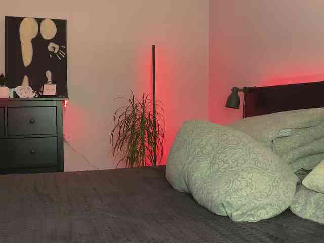 dalmatian-girl webcam