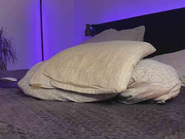 dalmatian-girl webcam