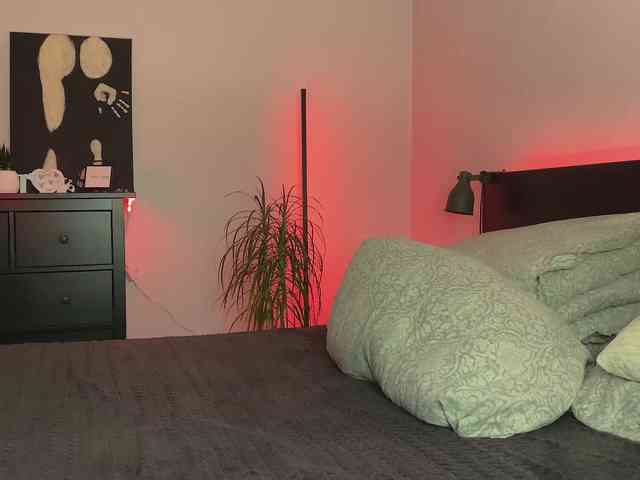 dalmatian-girl webcam