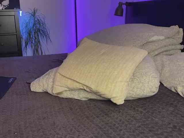 dalmatian-girl webcam