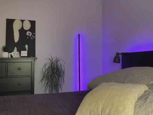 dalmatian-girl webcam