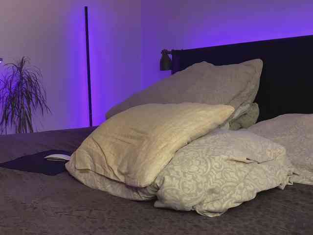 dalmatian-girl webcam