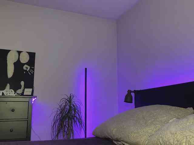 dalmatian-girl webcam