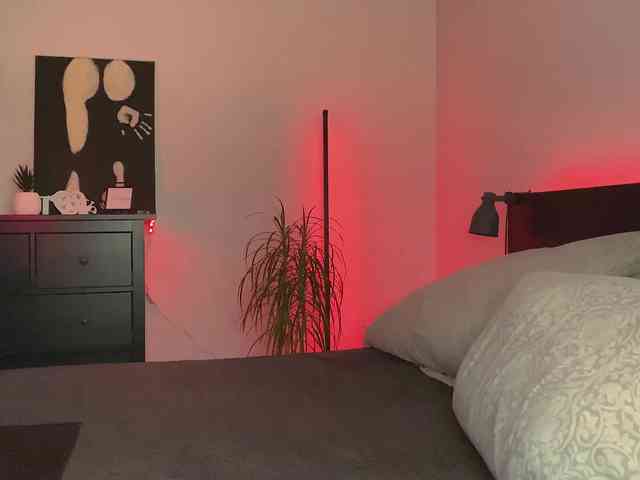 dalmatian-girl webcam