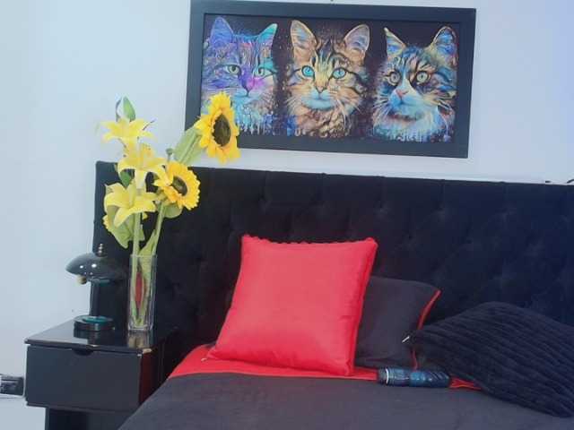 ValentinaJaramilloo live cam on BongaCams