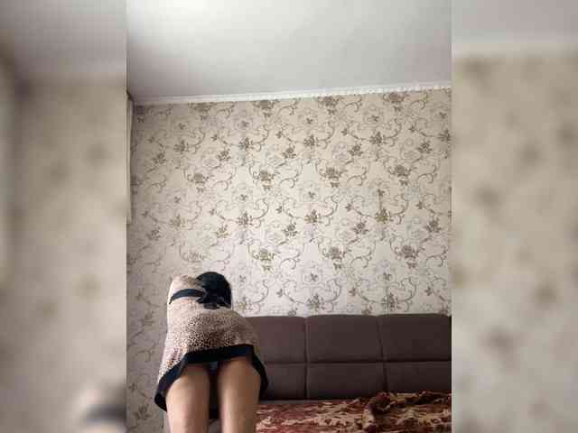 SkvirtiKK webcam