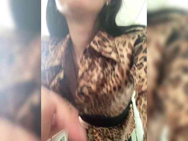 SkvirtiKK webcam