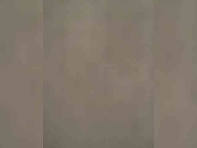 SkvirtiKK webcam
