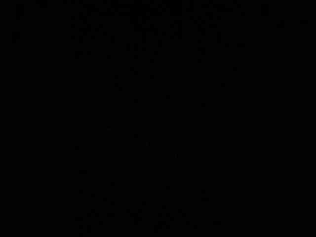 MiaTorres