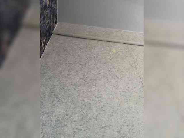 SkvirtiKK webcam