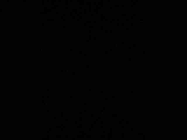 MiaTorres