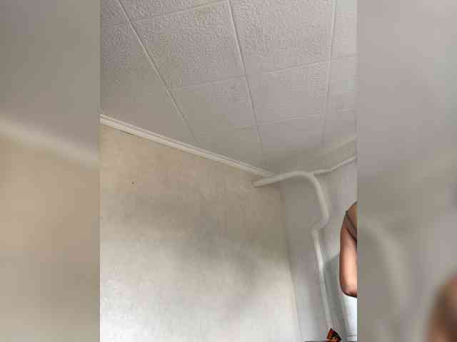 SkvirtiKK webcam