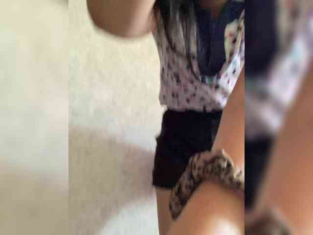 SkvirtiKK webcam