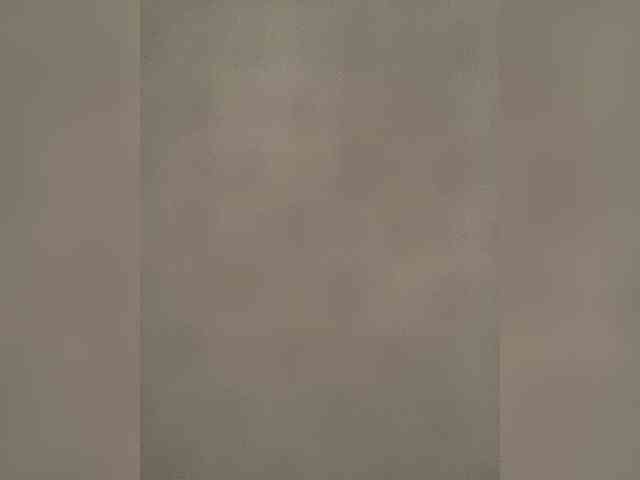 SkvirtiKK webcam