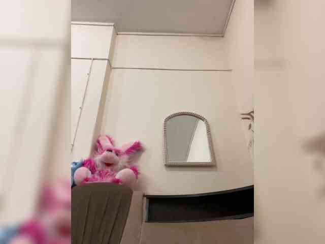 SkvirtiKK webcam