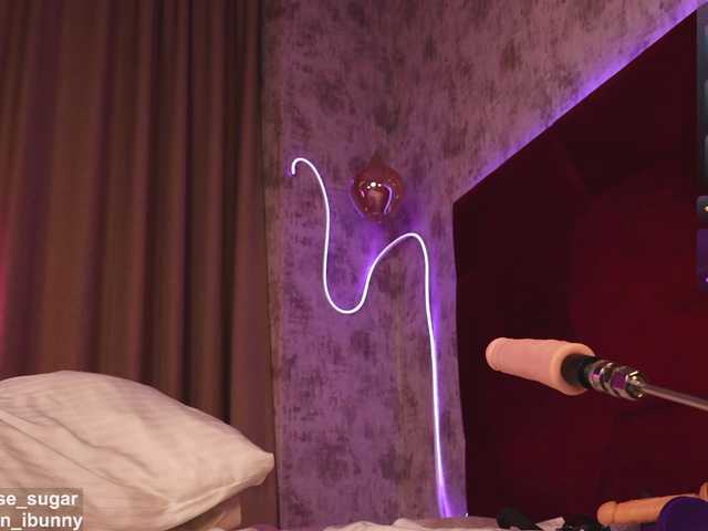 Ellise-sugar live cam on BongaCams