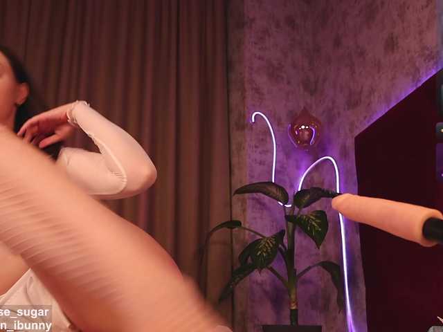 Ellise-sugar live cam on BongaCams