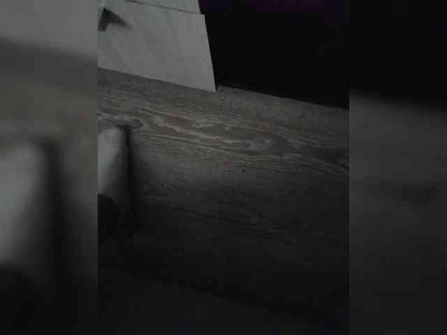 Sane4ek6662