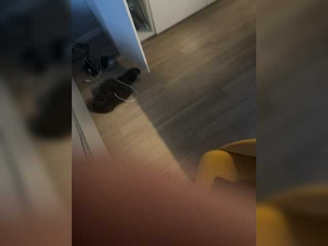 Sovetnik777777 preview