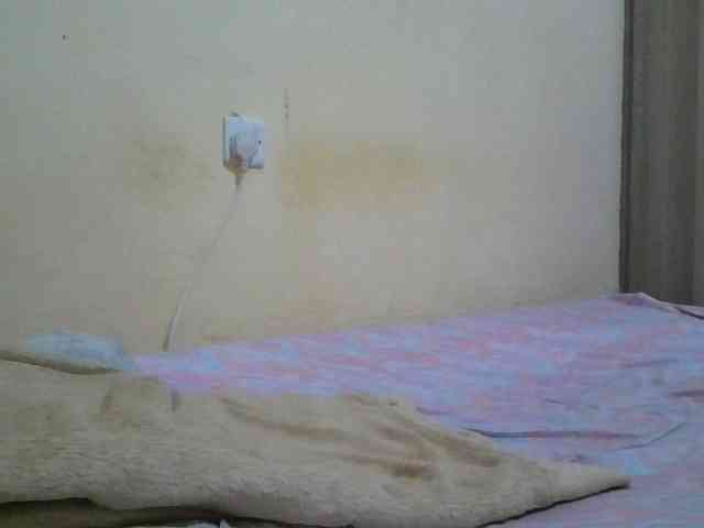 Queen-terry webcam