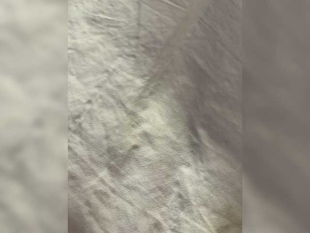 go to chat with millemimi
