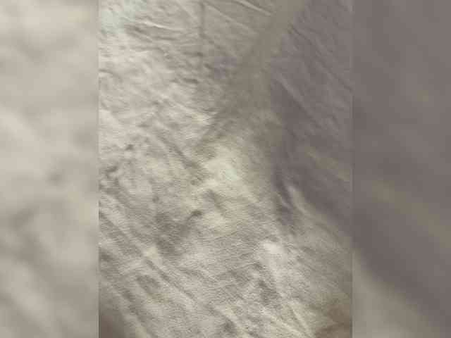 millemimi webcam