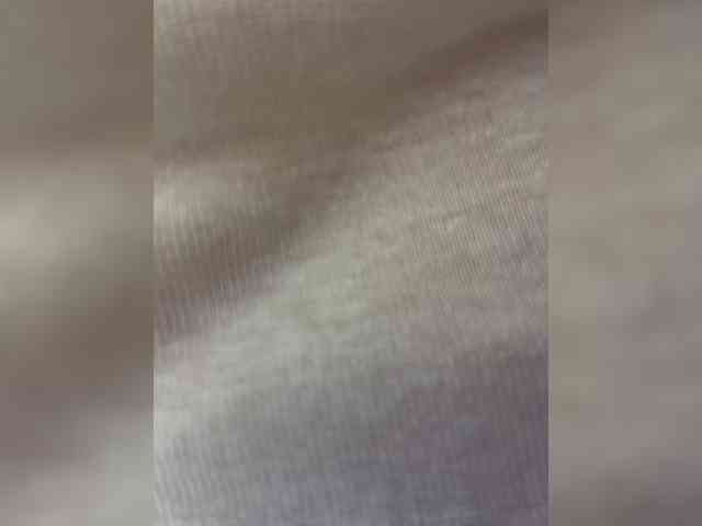 Millemimi's cam show statistics and live stream