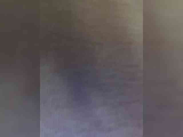 millemimi webcam