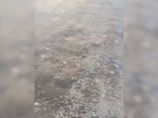 Mypaxa_Anna