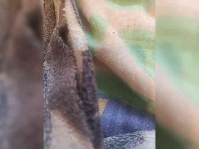Mypaxa_Anna webcam