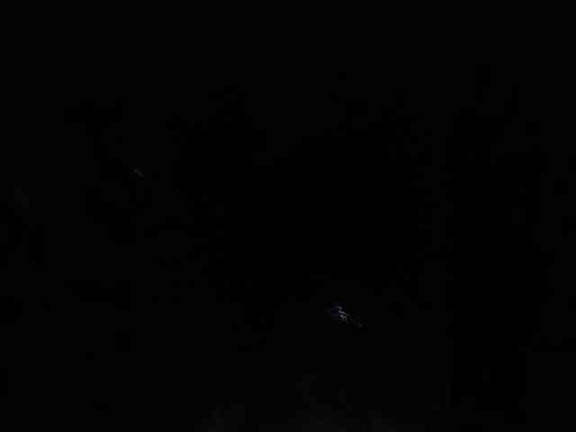 Mypaxa_Anna