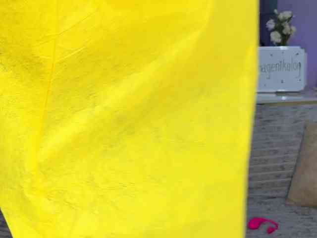 Модель: XXXDreamTeam