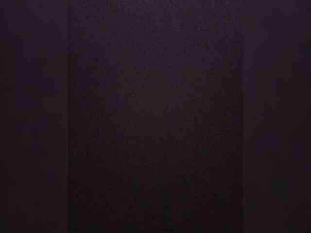 BielkA-4 webcam