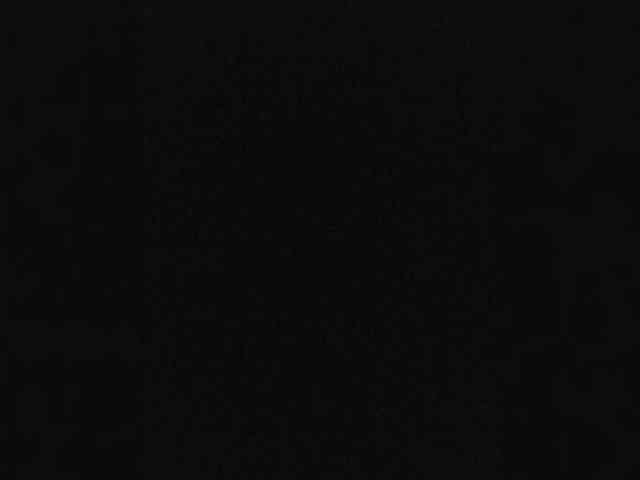 BielkA-4 webcam