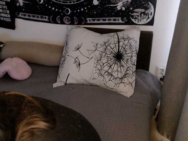RacyRoby live cam on BongaCams