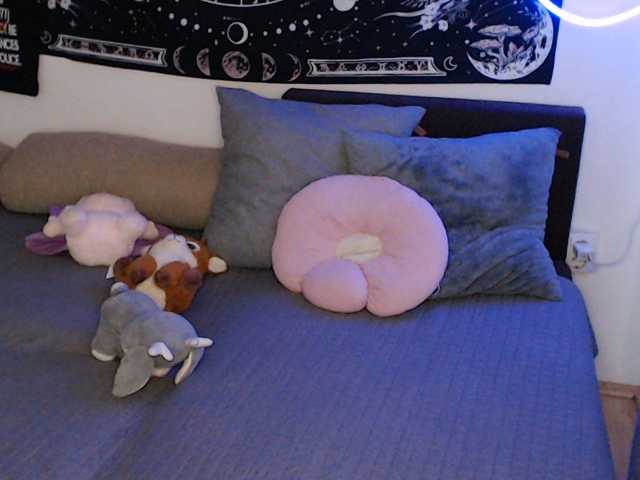 RacyRoby live cam on BongaCams