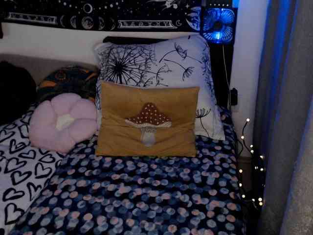 RacyRoby webcam